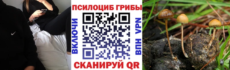 Галлюциногенные грибы GOLDEN TEACHER  наркота  Инта 